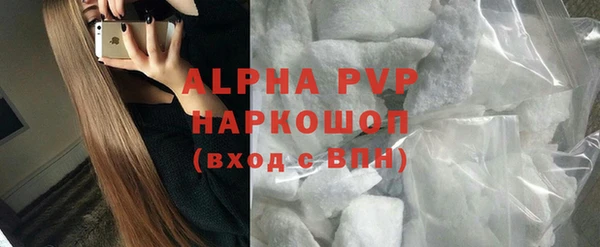 ПСИЛОЦИБИНОВЫЕ ГРИБЫ Осташков