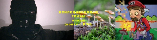 гидропоника Переславль-Залесский