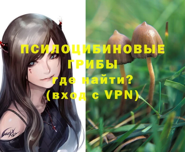 прущие крисы Александровское