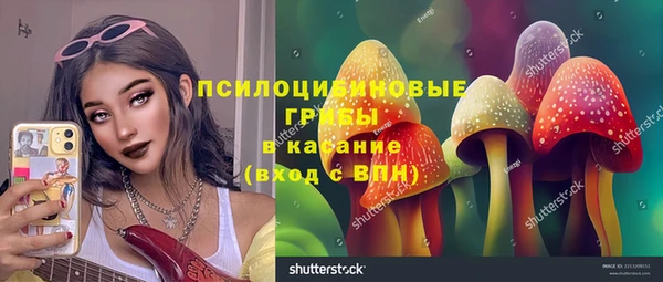 дурь Иноземцево
