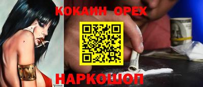 индика Будённовск