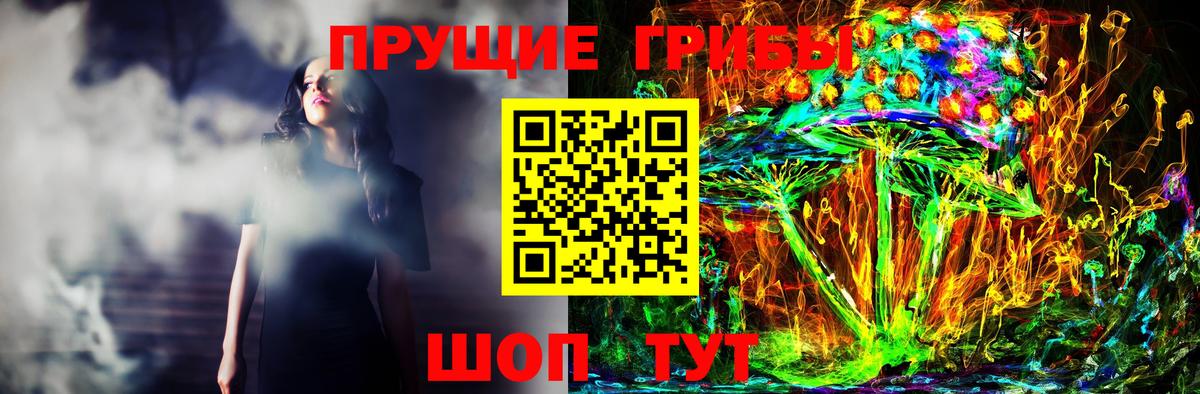 Псилоцибиновые грибы Psilocybine cubensis  Губаха  Галлюциногенные грибы GOLDEN TEACHER 