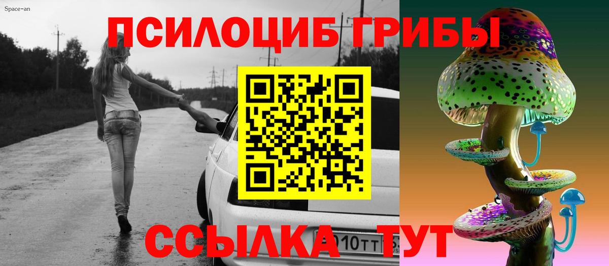 Губаха  Галлюциногенные грибы Cubensis  Галлюциногенные грибы прущие грибы  наркота  Вход с VPN 