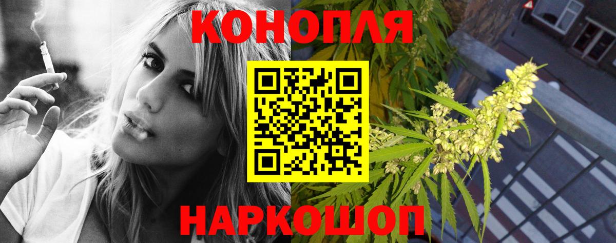 Шишки марихуана OG Kush  Бошки марихуана Bruce Banner  Губаха  Бошки марихуана марихуана  Марихуана сатива 